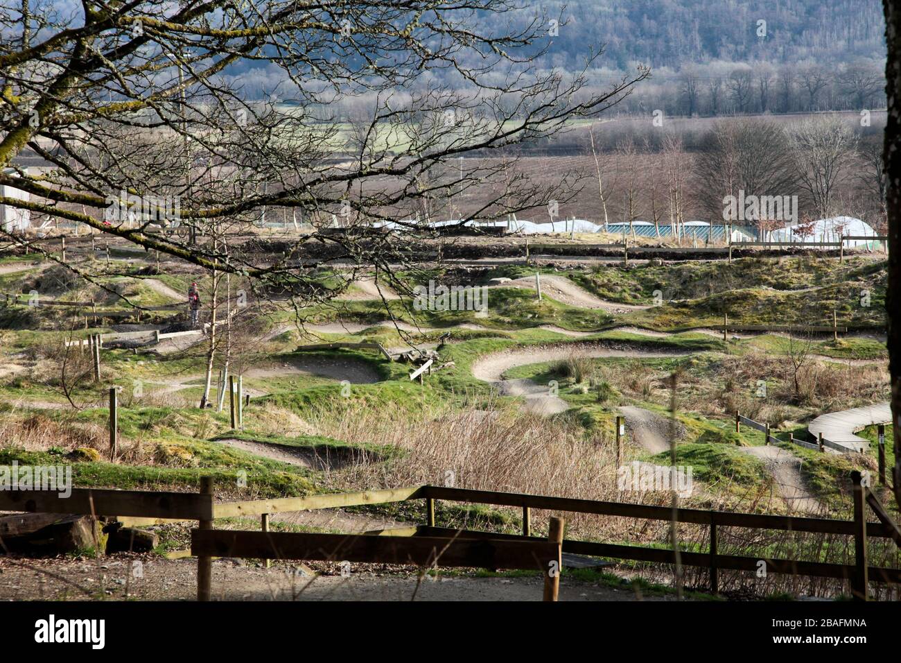 Mountainbike-Skills Park in Comrie Croft Stockfoto