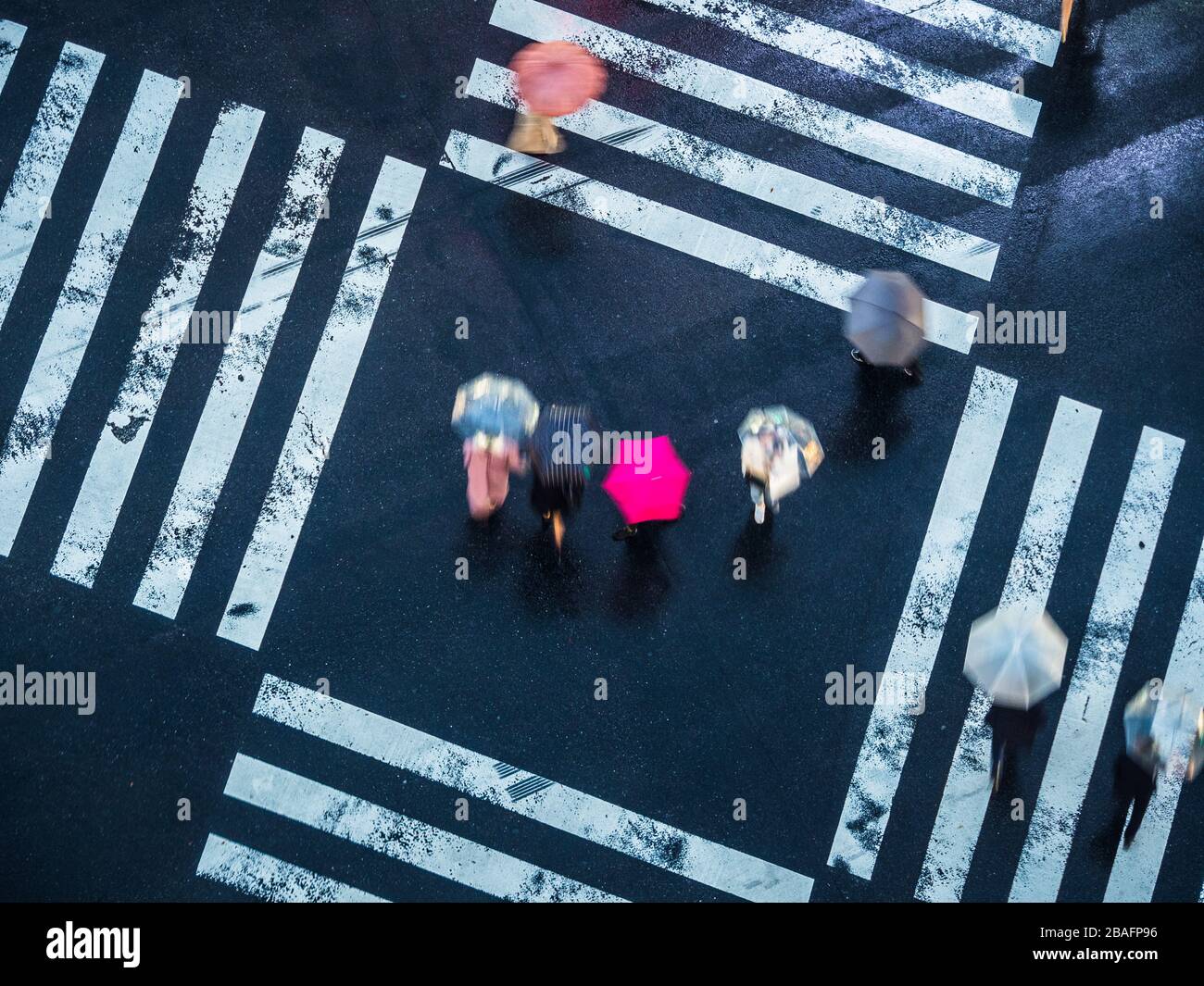 Tokyo Crossing im Regen. Blick von oben, wenn Fußgänger bei Regen mit Sonnenschirmen die Straßen Tokios überqueren. Stockfoto