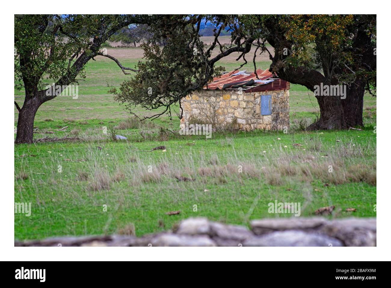 Vertikal des ländlichen Texas Hill Country Steinrauchhauses mit Eichenbaum, Steinmauer und malerischer Landschaft Stockfoto