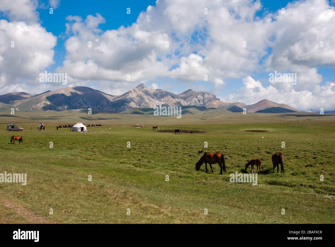 Steppe in der Nähe des Songkol-Sees. Riesige Weide mit weidenden Pferden, traditioneller Jurte und epischen Bergen im Hintergrund. Stockfoto