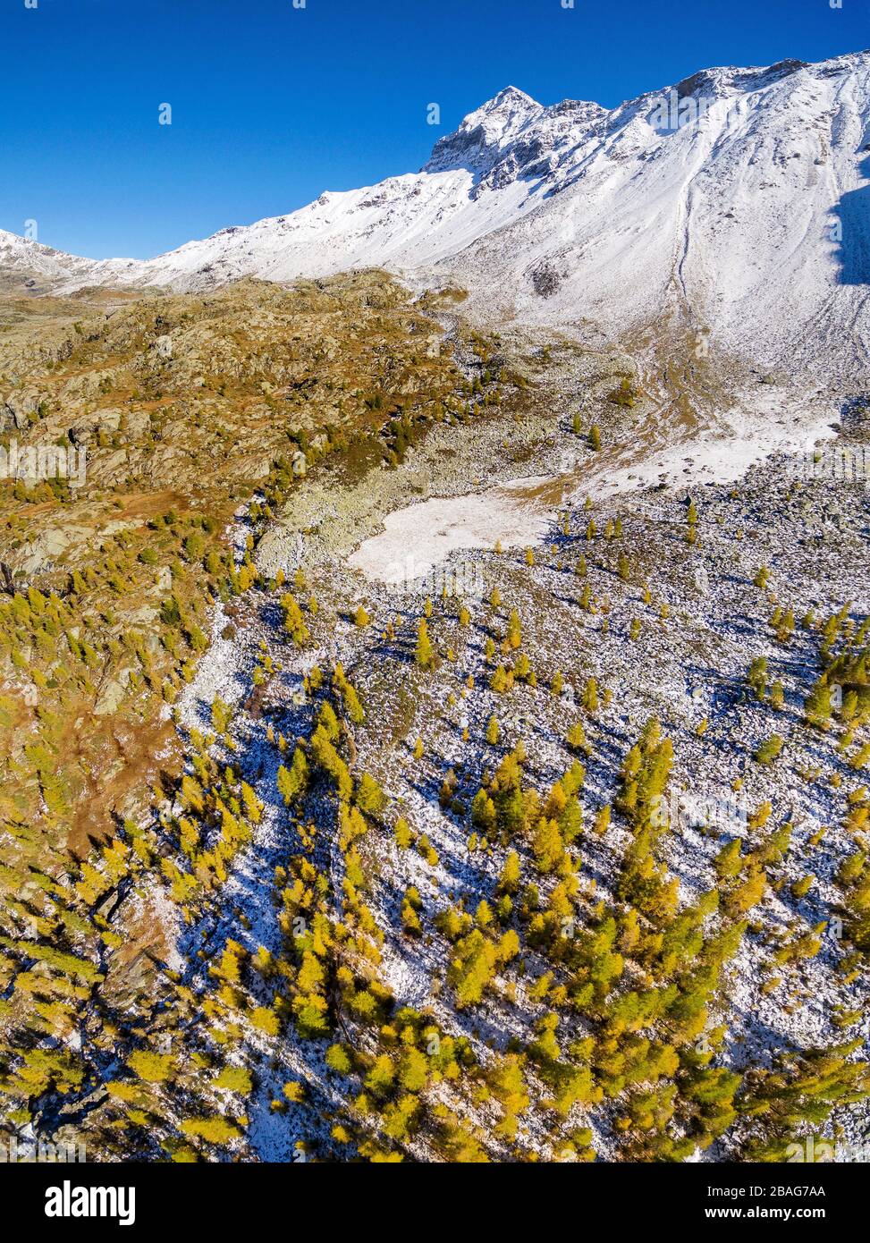 Valmalenco (IT) - herbstliche Aussicht auf den Pizzo Scalino Stockfoto