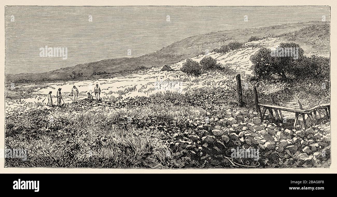 Panoramablick auf die Ruinen des Dorfes Waiohinu. Hawaii, Vereinigte Staaten. Reise zu den hawaiischen Inseln im Jahr 1855 durch Charles de Varigny, französischer Abenteurer Stockfoto