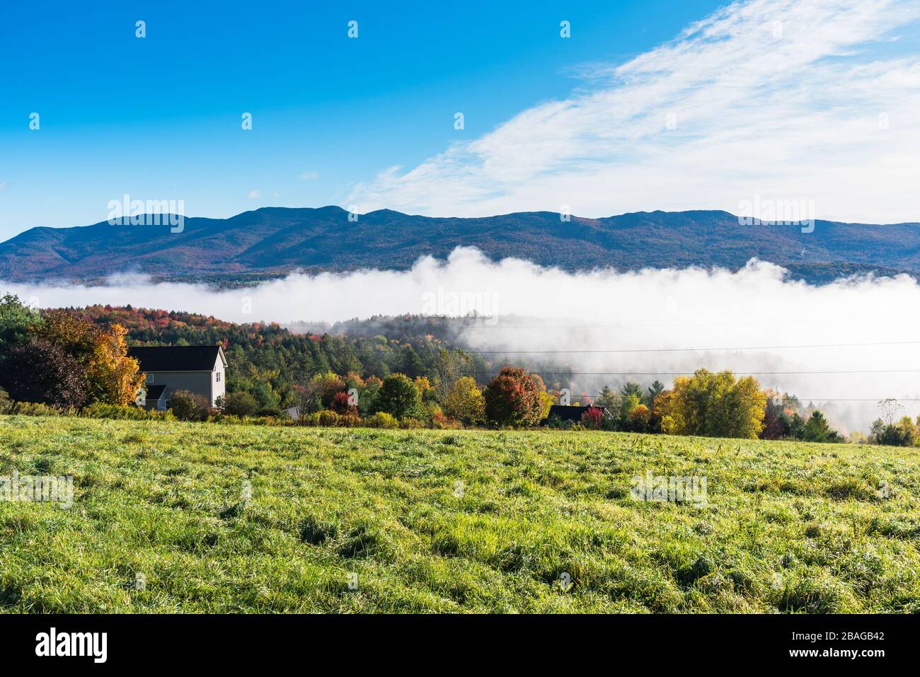 Berglandschaft mit Morgennebel, die an einem Sturztag EIN bewaldetes Tal BEDECKT, STEHT im Vordergrund EIN Medow. Schöne Herbstfarben und blauer Himmel. Stockfoto