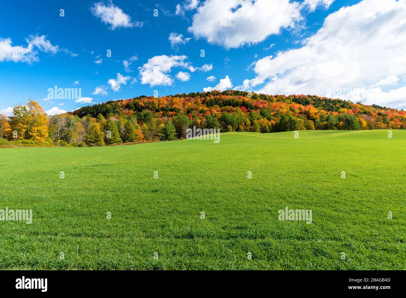 Wiese am Fuß eines Hügels, der von Bäumen bedeckt ist, auf dem Gipfel von Herbstlaub und blauem Himmel Stockfoto