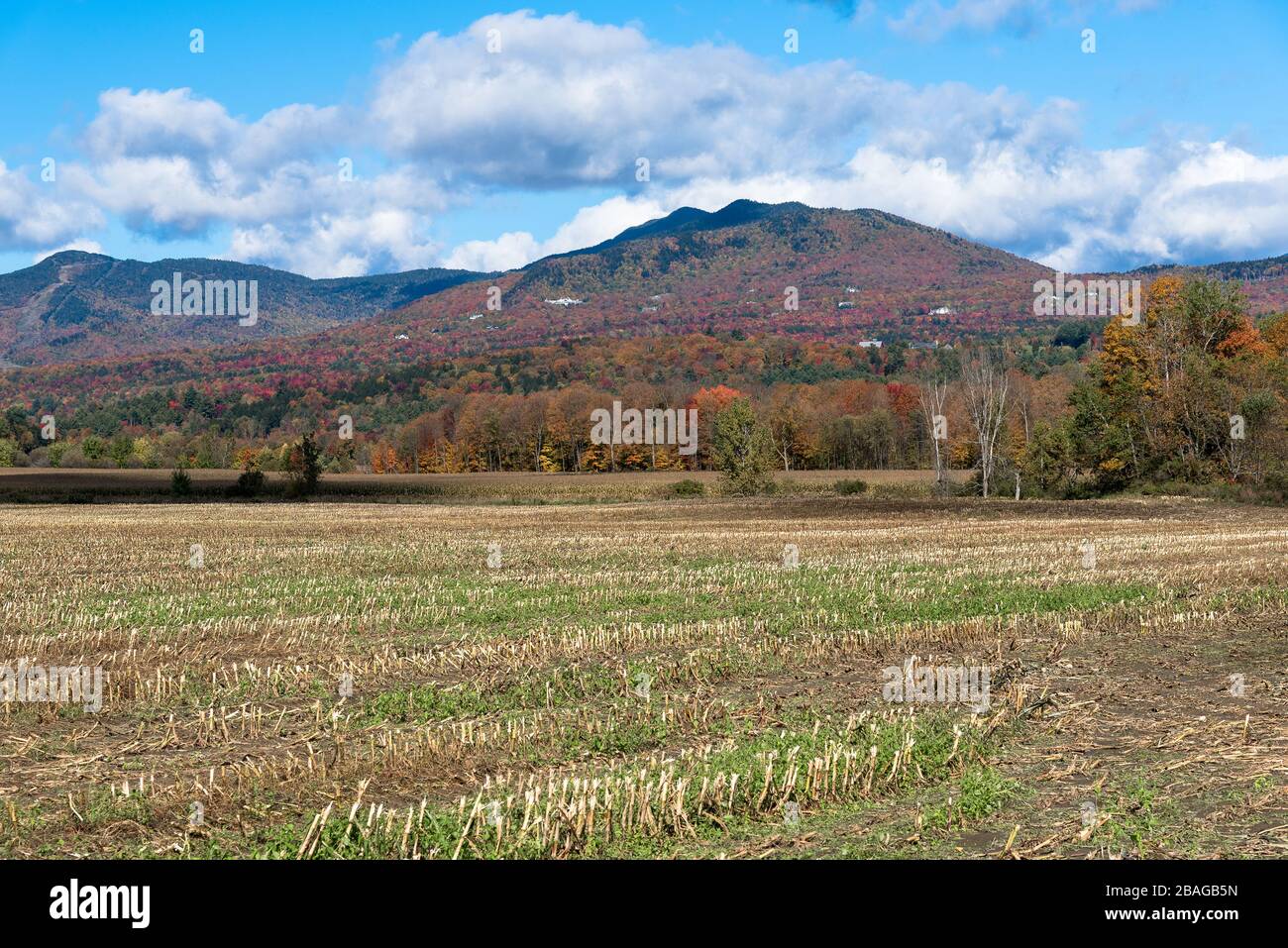 Geerntete Felder mit bewaldeten Bergen im Hintergrund an einem klaren Herbsttag. Schöne Herbstfarben. Stockfoto