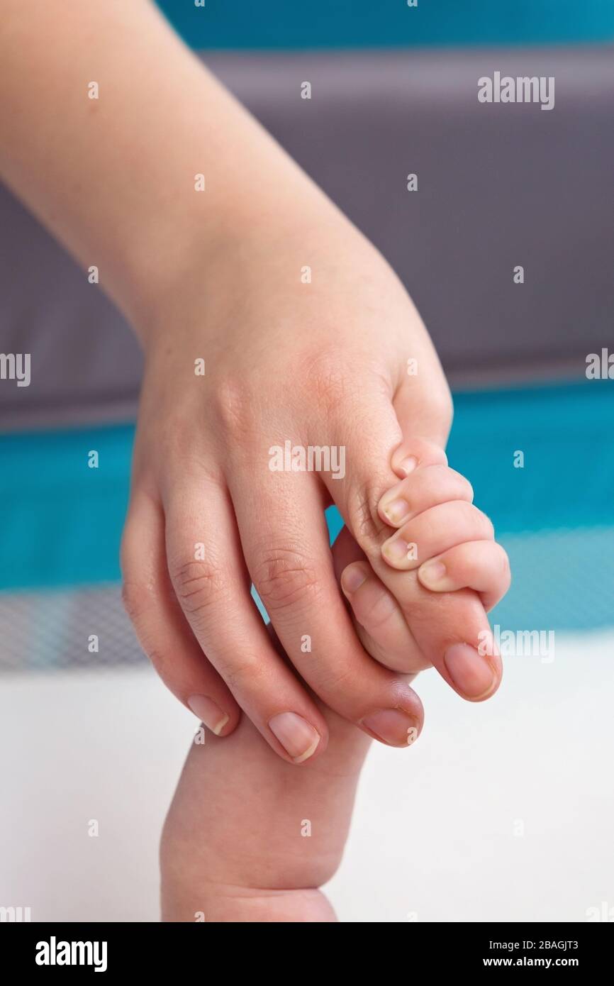 Winzige neugeborene Finger, die Mummys liebevolle Hände halten Stockfoto