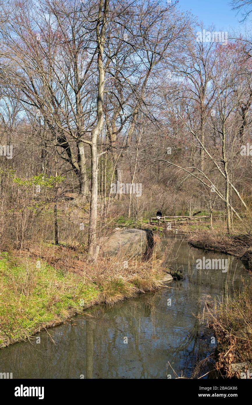 Country Feel im North Woods of Central Park, New York City. Stockfoto