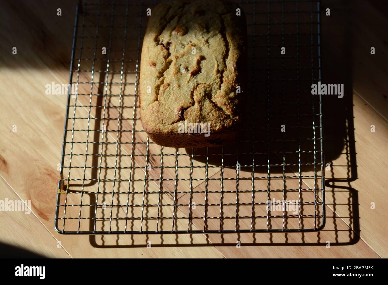 Foto von frisch gebackenem, hausgemachtem Brot auf einem Kühlregal. Schnelles Brot. Bananenbrot mit Schokoladenchips. Stockfoto