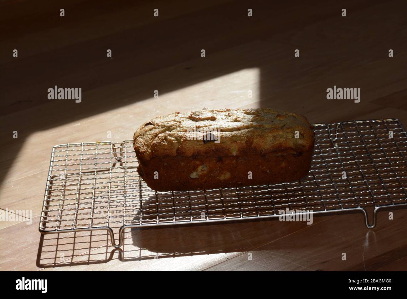 Foto von frisch gebackenem, hausgemachtem Brot auf einem Kühlregal. Schnelles Brot. Bananenbrot mit Schokoladenchips. Stockfoto