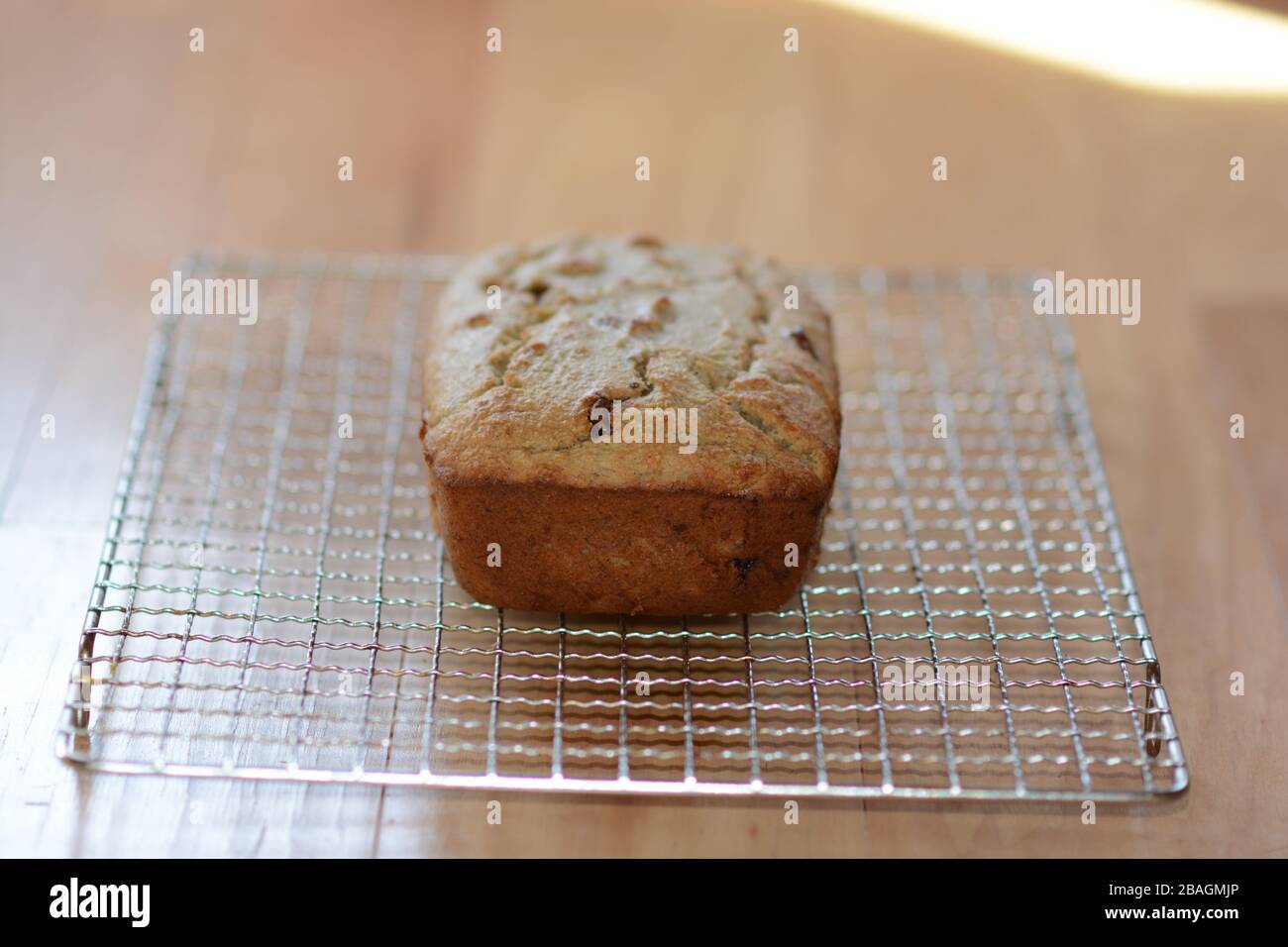 Foto von frisch gebackenem, hausgemachtem Brot auf einem Kühlregal. Schnelles Brot. Bananenbrot mit Schokoladenchips. Stockfoto