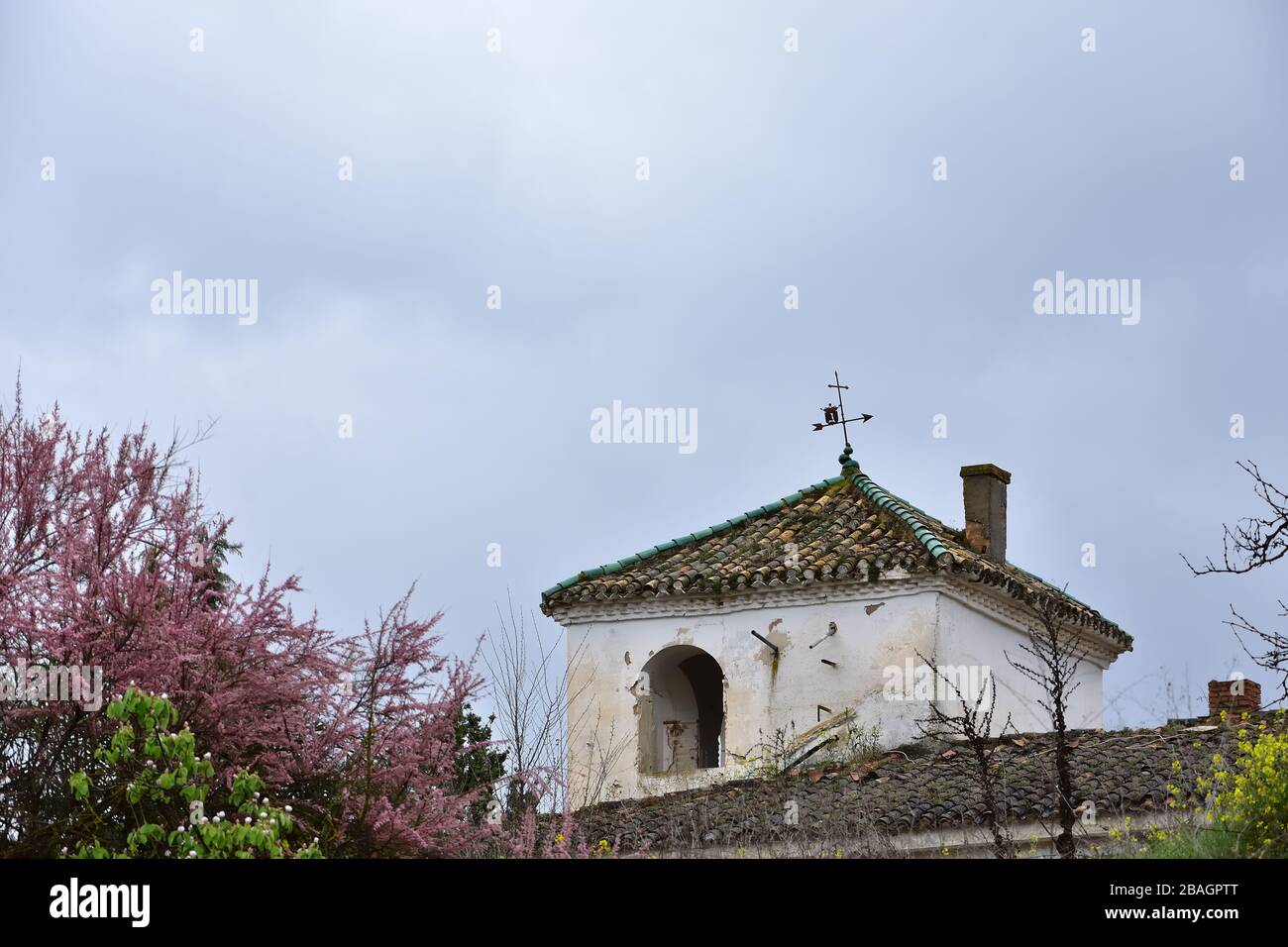 Verlassenes und verfallenes Haus unter Bäumen in Schwarz-Weiß Stockfoto