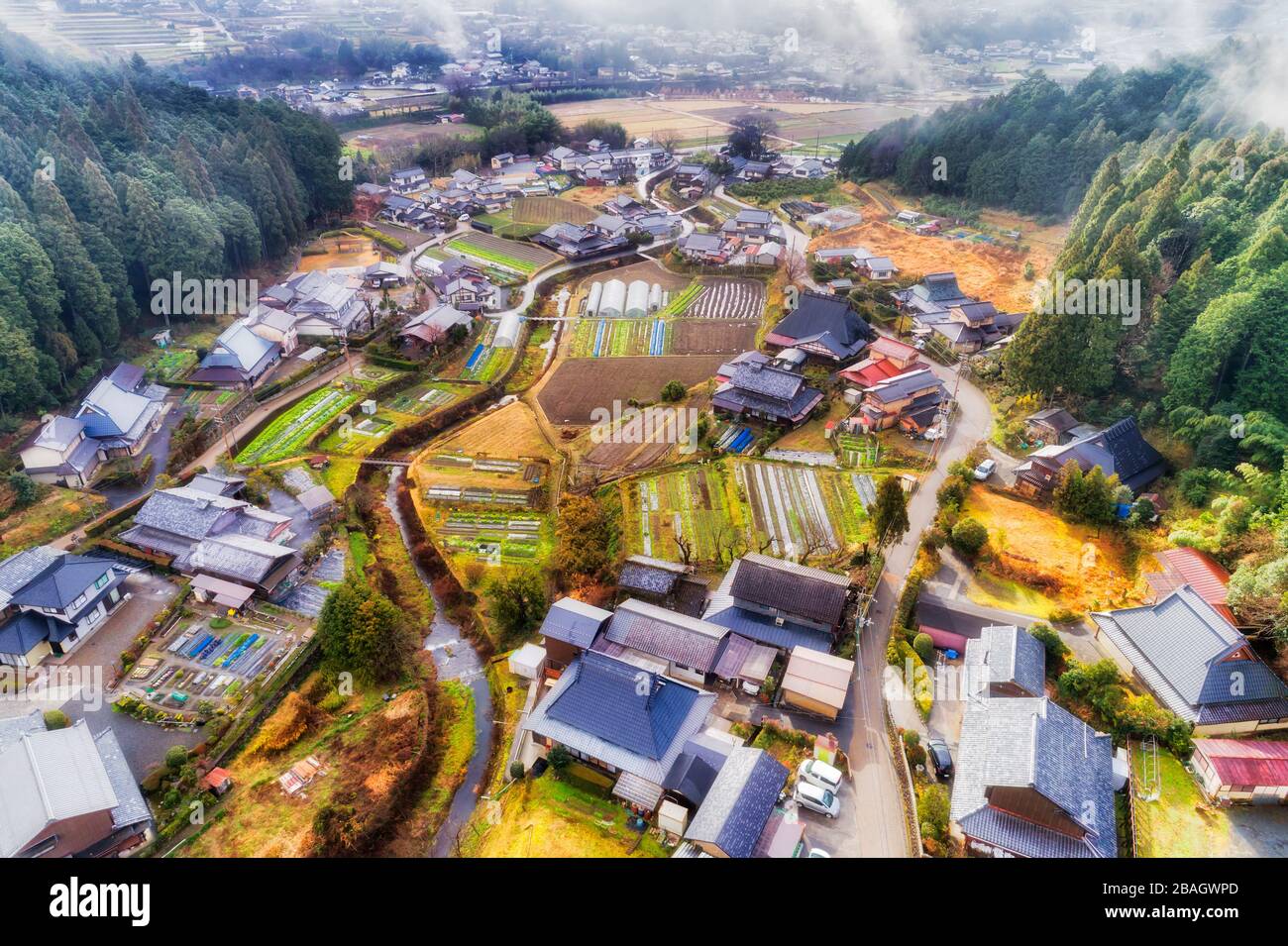 Kleine Landwirtschaftsbetriebe mit Reisfeldern, Gewächshäuser an den Ufern des kleinen Gebirgsflusses im japanischen Dorf. Stockfoto