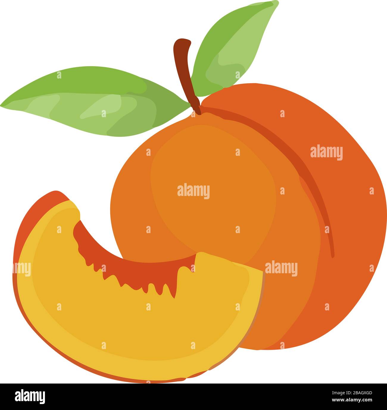 Pfirsichstück, Abbildung, Vektor auf weißem Hintergrund Stock Vektor
