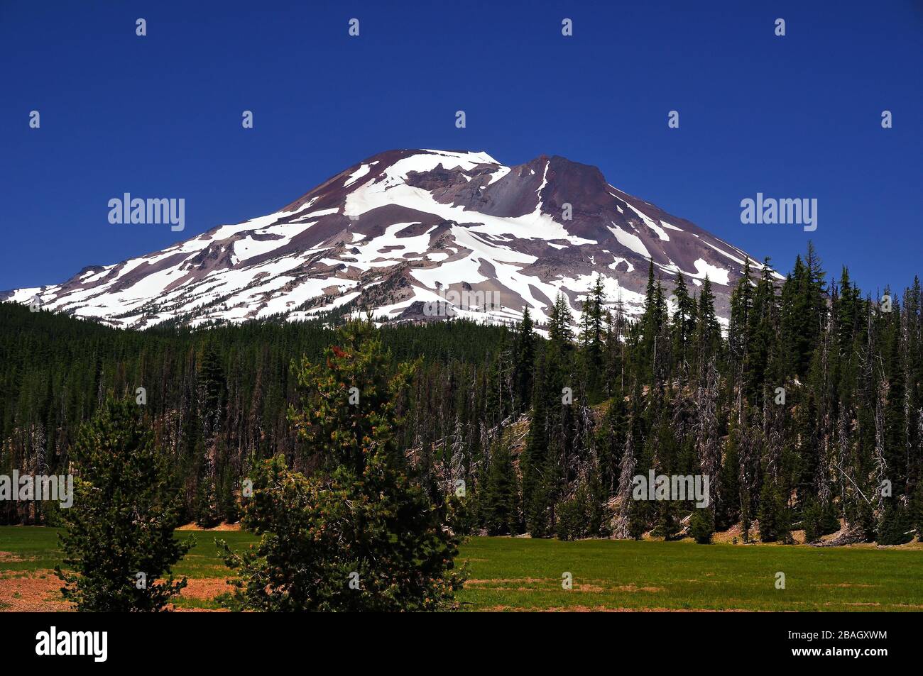 Südschwester in der Three Sisters Wilderness der Central Oregon Cascade Range Stockfoto