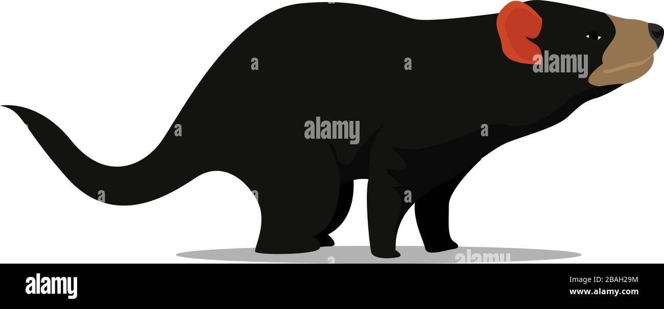 Tasmanische Teufel, Illustration, Vektor auf weißem Hintergrund Stock Vektor