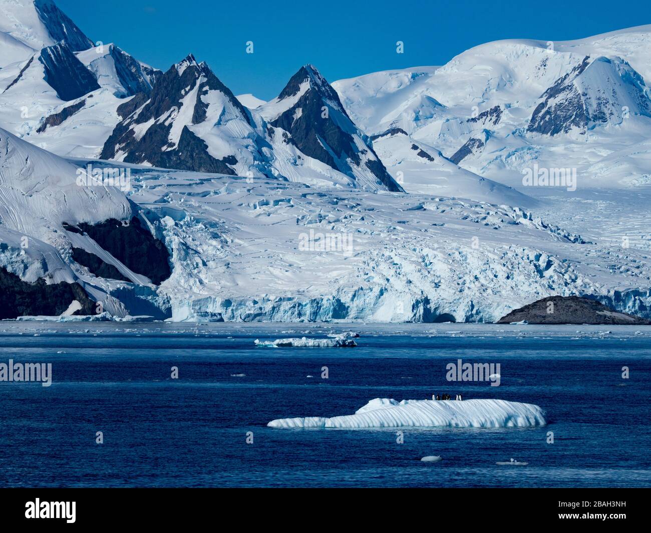 Zodiac Kreuzfahrt unter dem Eis in Cierva Cove auf der Antarktischen Halbinsel Stockfoto