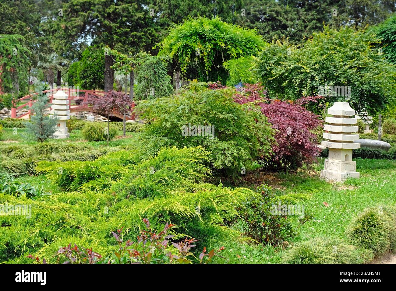 Wunderschöner immergrüner Park in Batumi, Georgia. Schöne Sommerlandschaft im Garten. Landschaftsgestaltung, schöne Gestaltung des Parkbereichs. Stockfoto