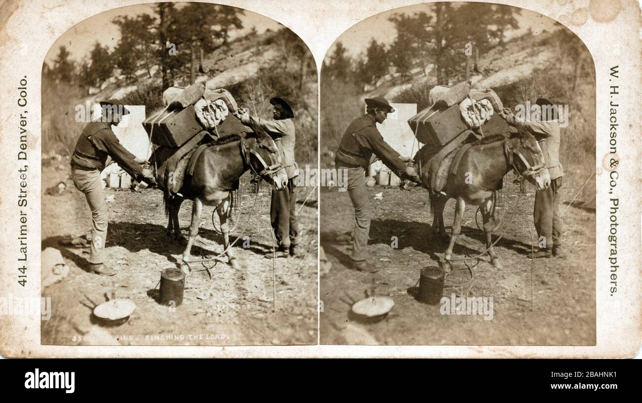 Packen & Cinchen the Load von William Henry Jackson, ca. 1870 Stockfoto