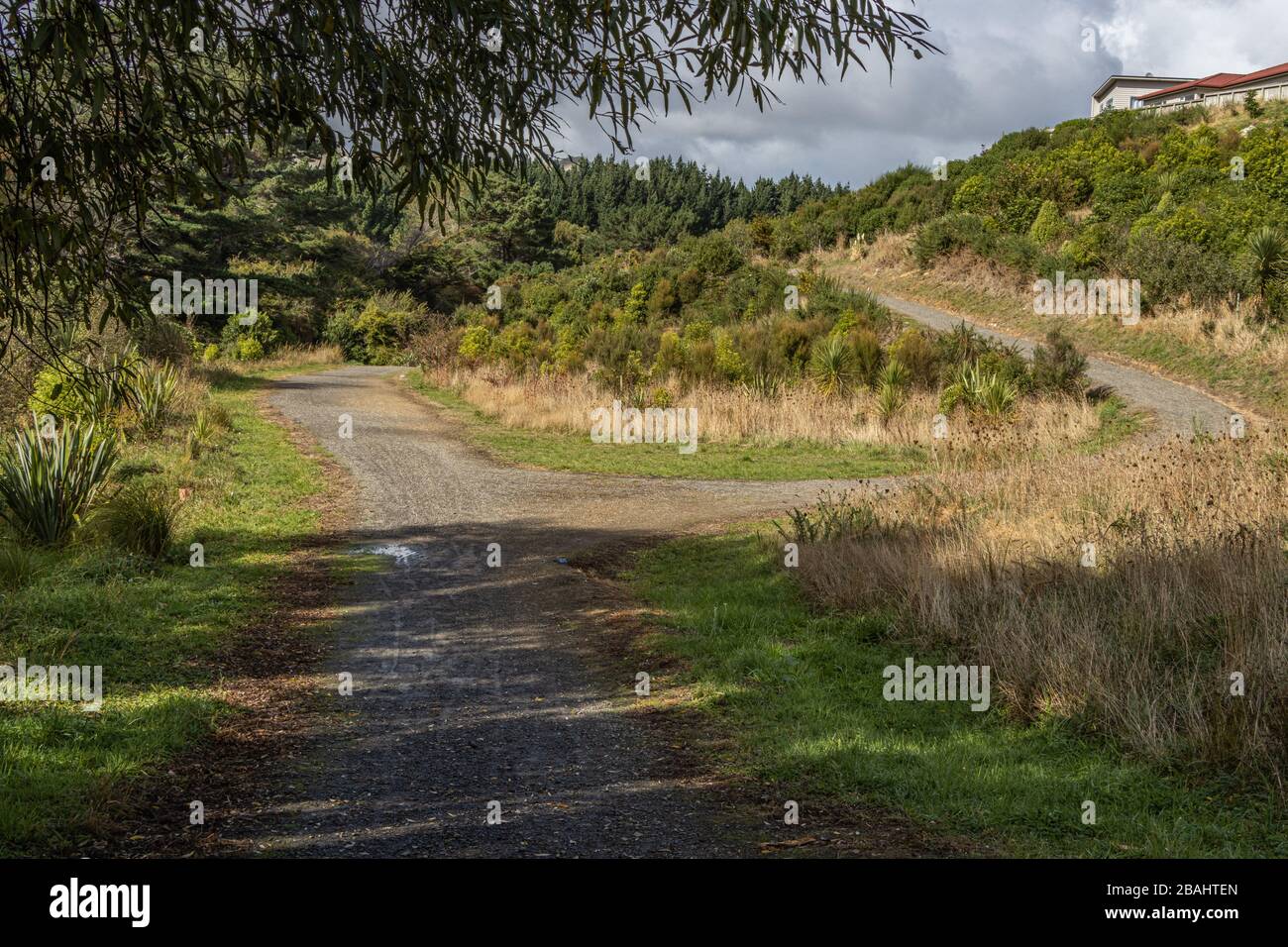 Verlassene Naturschutzzone am zweiten Tag der Sperrung der COVID19 in Neuseeland Stockfoto