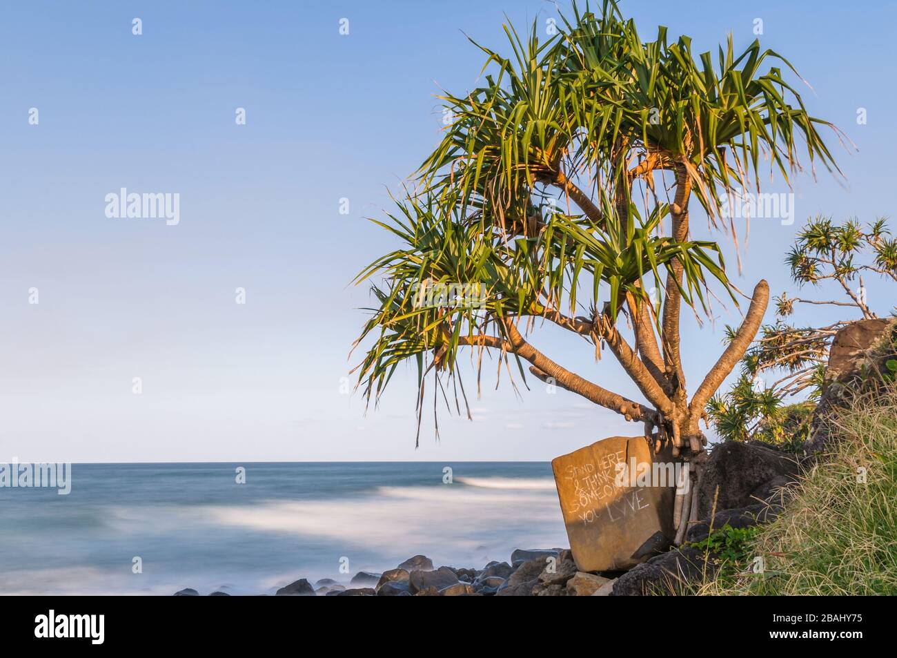 Ein Blick über den Pazifischen Ozean von Burleigh Heads zeigt auf eine einsame Pandanus-Palme und einen großen Felsen mit romantischem Text. Stockfoto