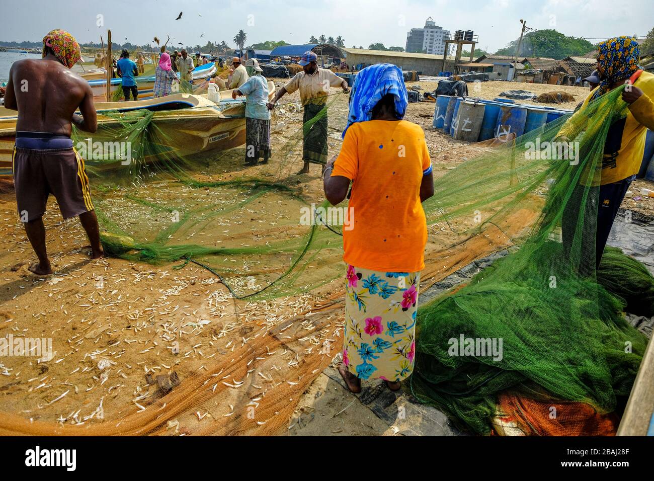 Negombo, Sri Lanka - März 2020: Fischer holen nach einer nächtlichen Angelmöglichkeit am 6. März 2020 in Negombo, Sri Lanka, Fisch aus ihren Fischernetzen. Stockfoto