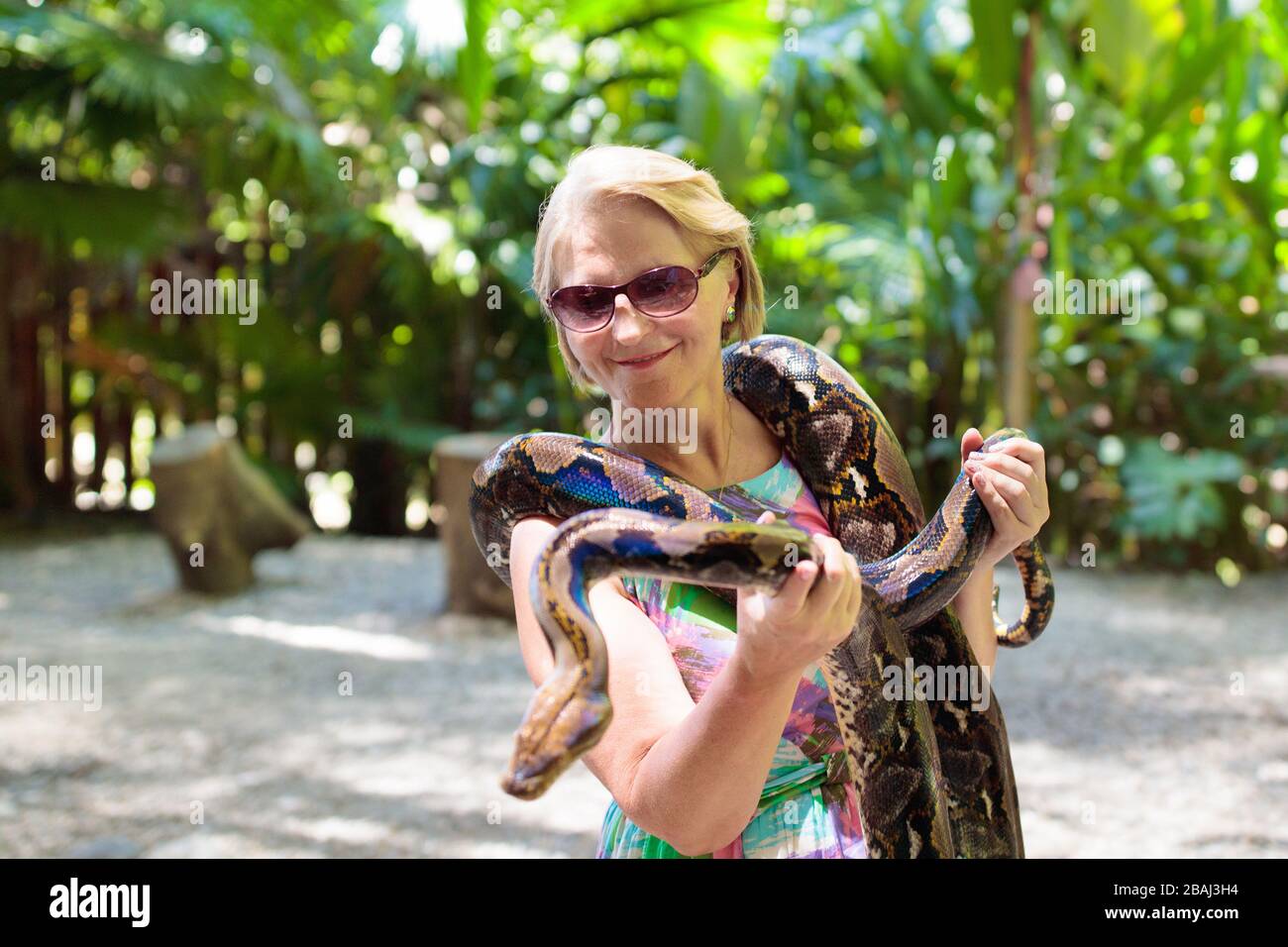Frau mit python Schlange in Tropical Zoo. Dame beobachten exotische Reptil. Weibliche Touristen mit Schlangen auf Reise Park zu Safari. Menschen beim Lernen zu overco Stockfoto