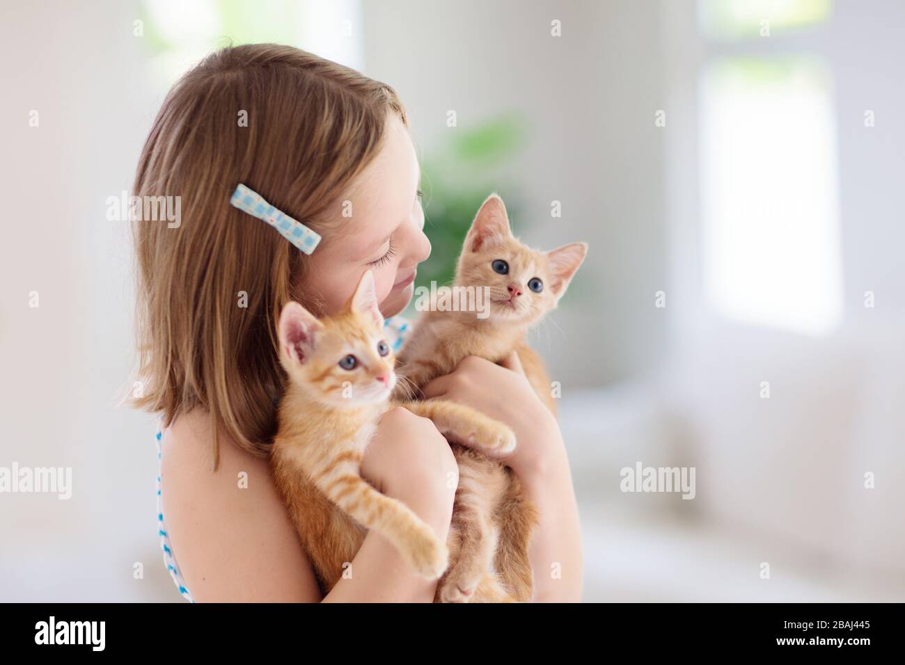 Kind, das eine Babykatze hält. Kinder und Haustiere. Kleines Mädchen umarmt niedliches kleines Kätzchen zu Hause. Haustier in der Familie mit Kindern. Kinder mit Haustieren. Stockfoto