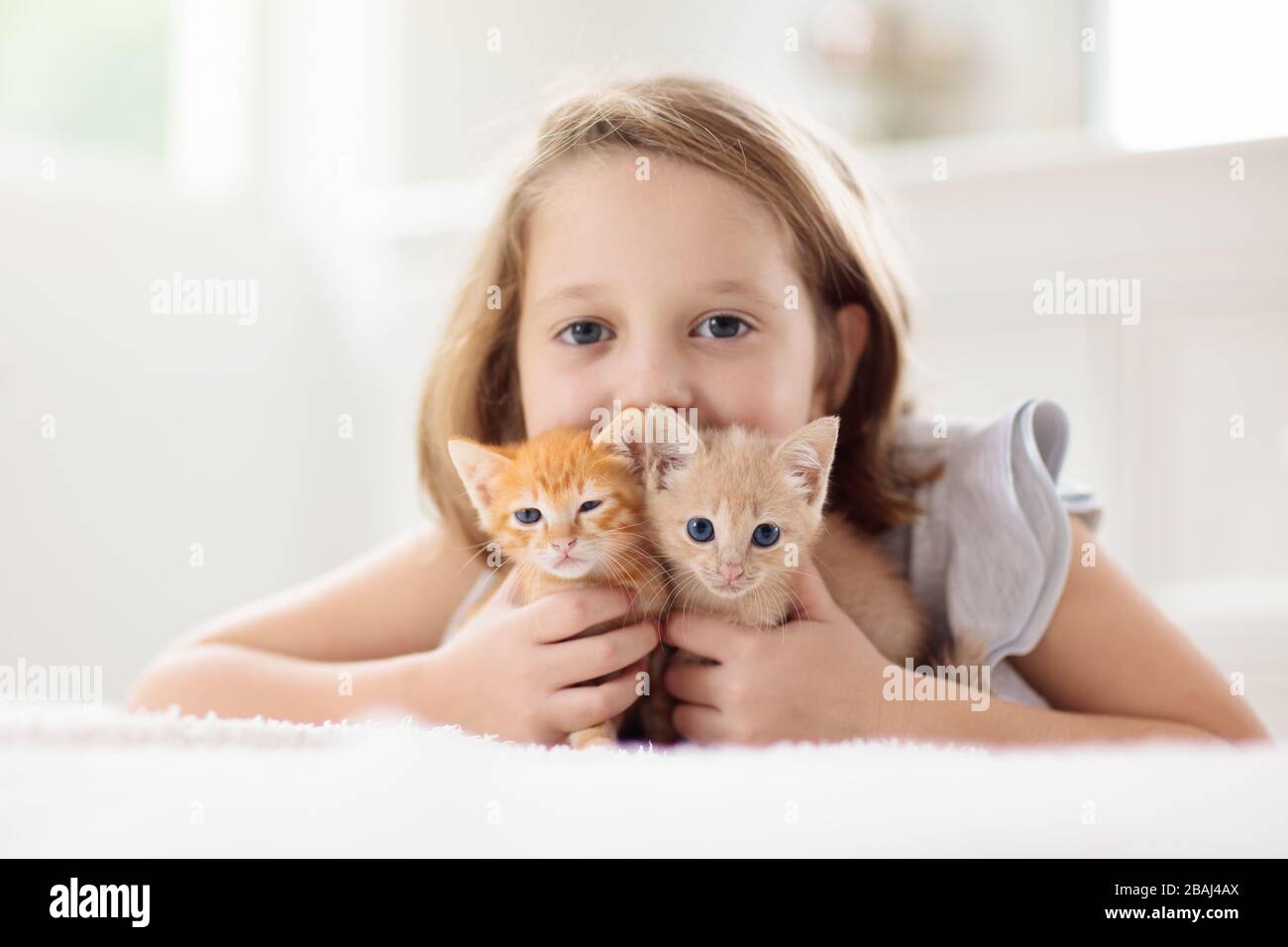 Kind, das eine Babykatze hält. Kinder und Haustiere. Kleines Mädchen umarmt niedliches kleines Kätzchen zu Hause. Haustier in der Familie mit Kindern. Kinder mit Haustieren. Stockfoto