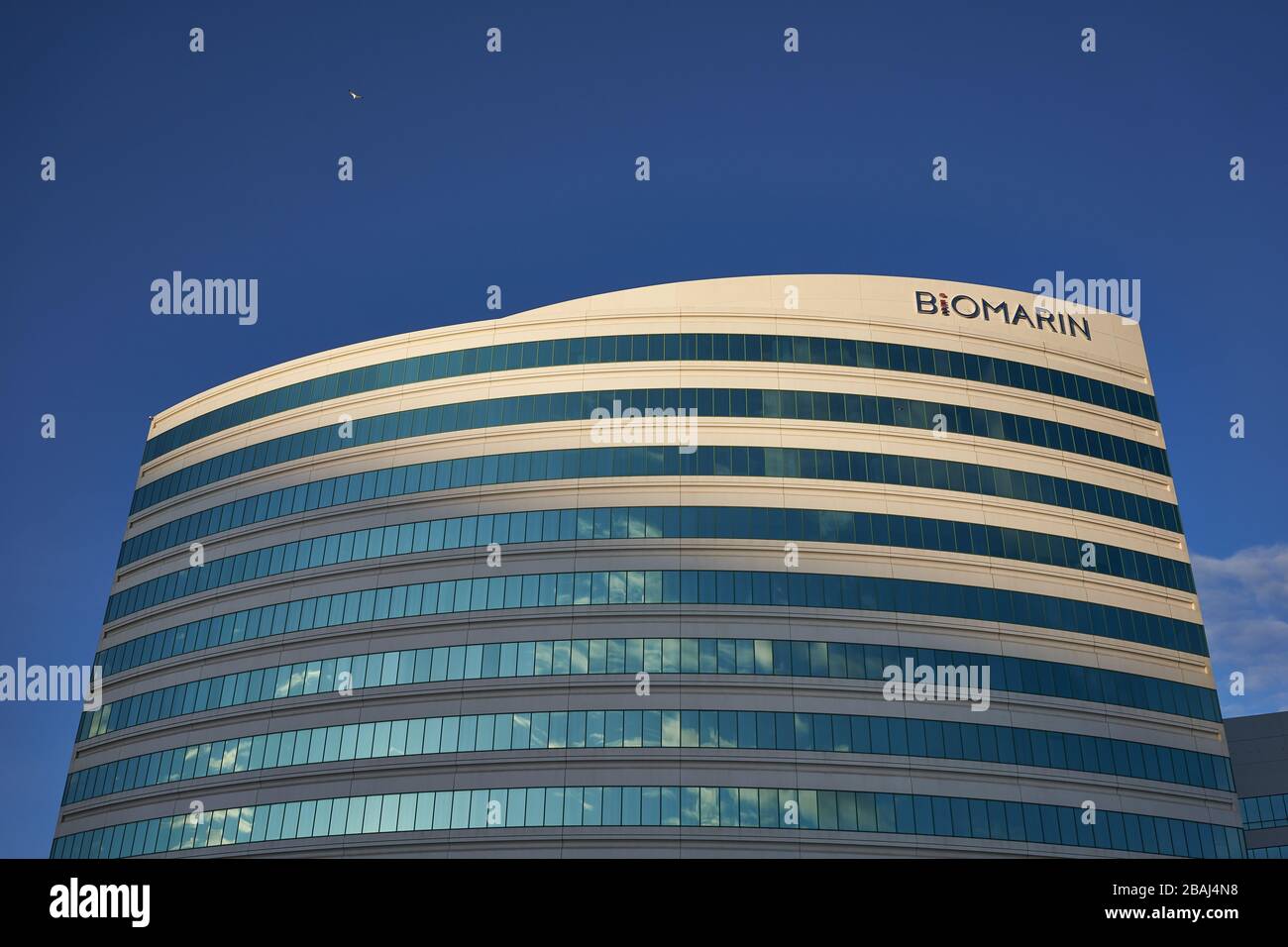 Das amerikanische Biotechnologieunternehmen BioMarin Pharmaceutical Inc. Hat am 1. März 2020 in Brisbane, Kalifornien, eine Niederlassung. Stockfoto