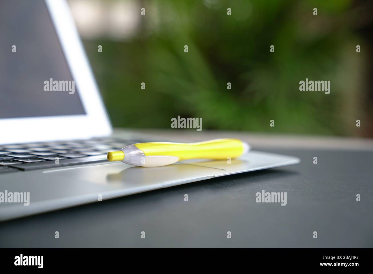 Gelber Stift auf dem Laptop mit grünem Hintergrund. Kopierbereich. Stockfoto