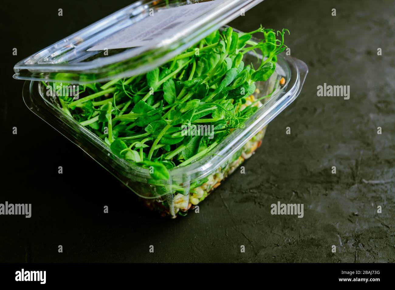 Erbsen mikrogrün im Kunststoffbehälter. Mikrogrüne Pflanzensprossen keimten aus Samen organischer Pflanzen. Stockfoto