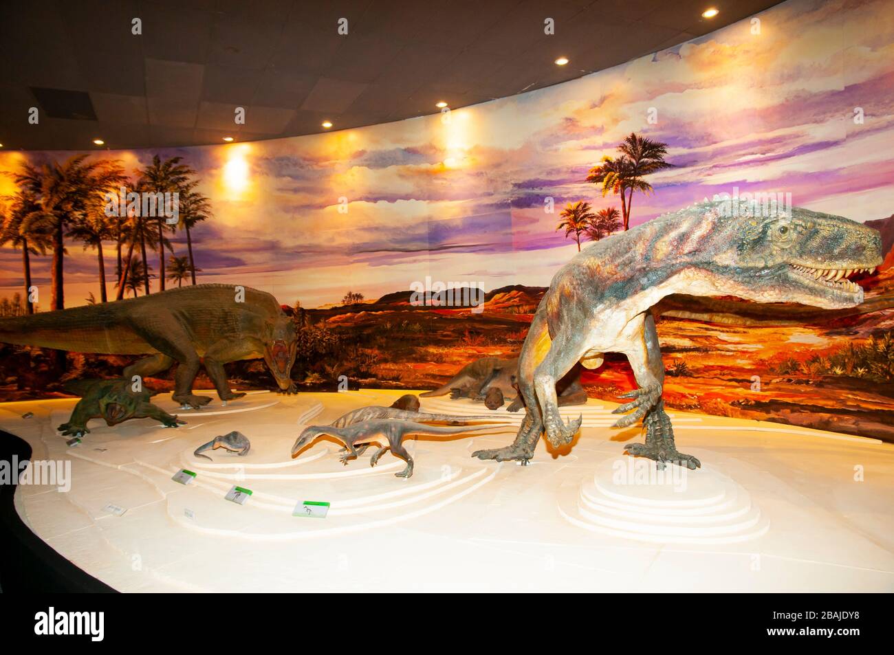 Nachbildungen von Dinosauriern im Museum of Natural Sciences Interpretation Center in Ischigualasto Provincial Park - Argentinien Stockfoto