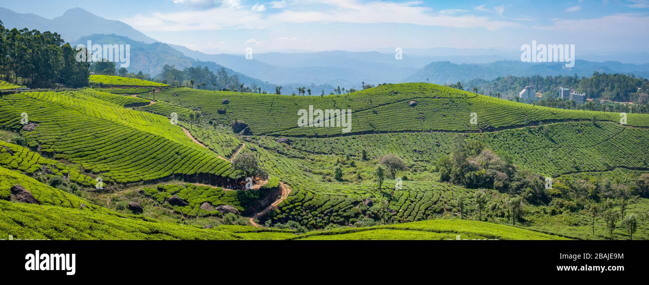 Panoramablick auf Berge und Teeplantagen. Während eines sonnigen Frühlingsmorgens am Chithirapuram View Point, in der Nähe von Munnar, Kerala, Indien, eingenommen Stockfoto