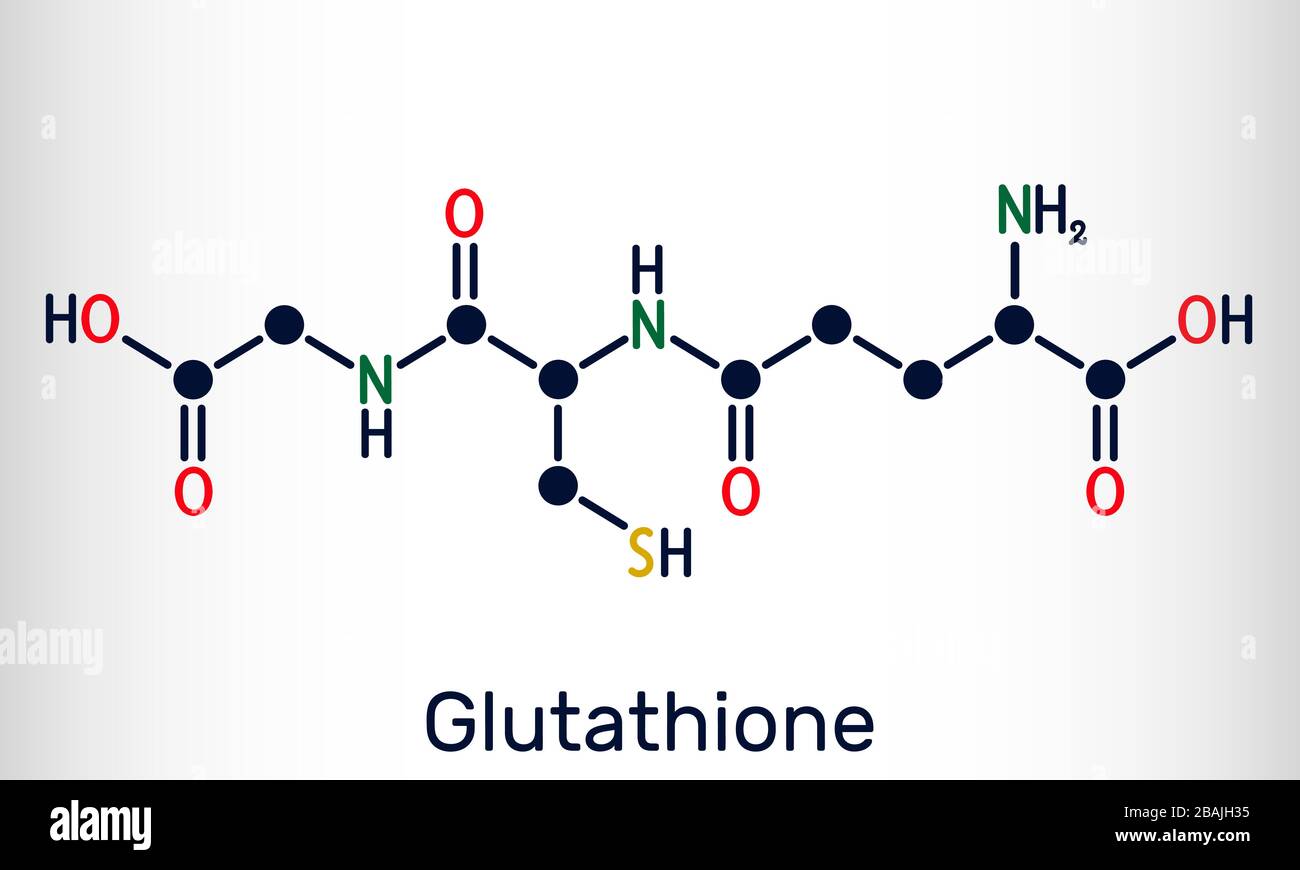 GLUTATHION, GSH, C10H17N3O6S-MOLEKÜL. Es ist ein wichtiges Antioxidans in  Pflanzen, Tieren und einigen Bakterien. Strukturelle chemische Formel.  Vektorillus Stock-Vektorgrafik - Alamy
