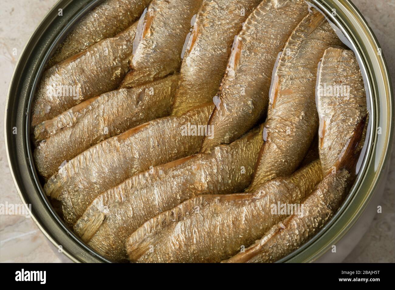 In der Konserve gerauchte europäische Sprotte in Öl Stockfoto