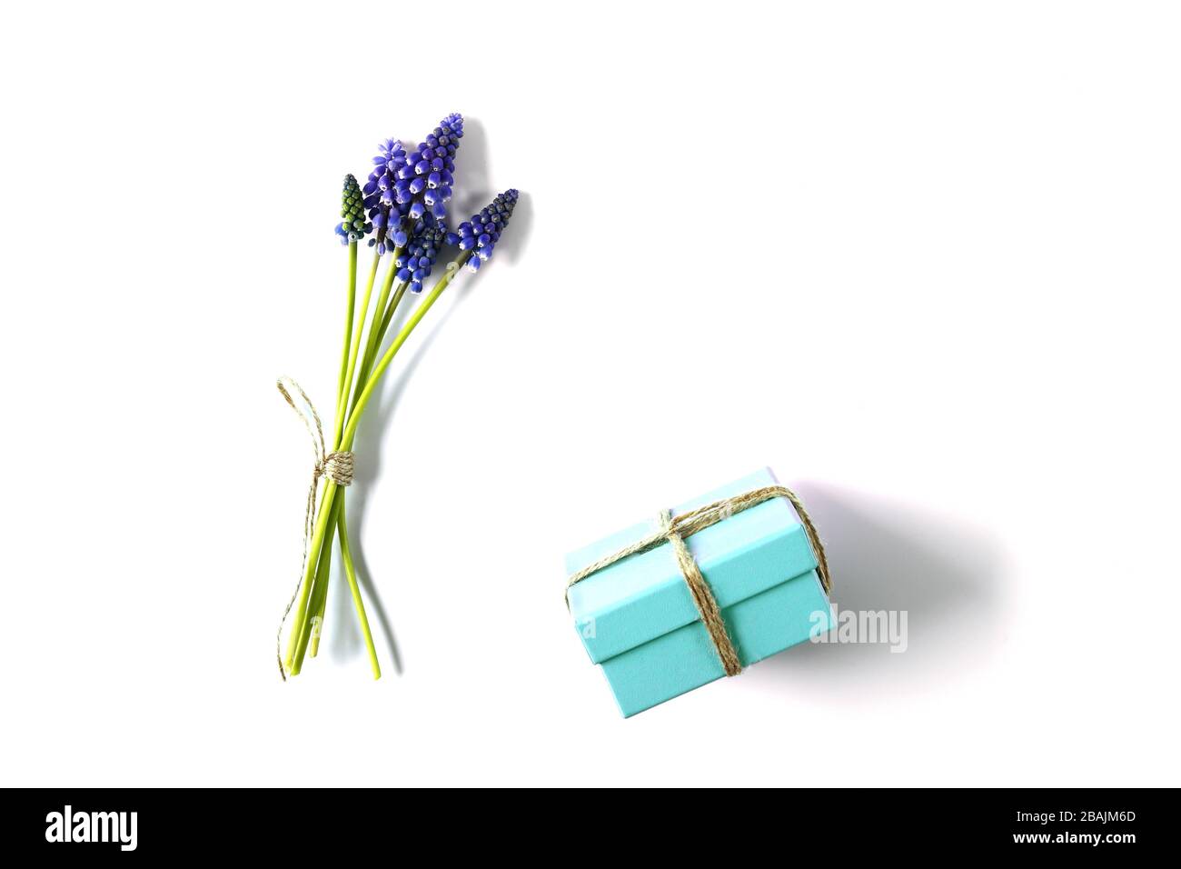 Bund blauer Frühlingsblumen blauer Tiffany Geschenkkasten auf weißem Hintergrund. Symbol für Ostern, Feier, Hochzeit, Geburtstag, Jubiläum, Engagement Stockfoto