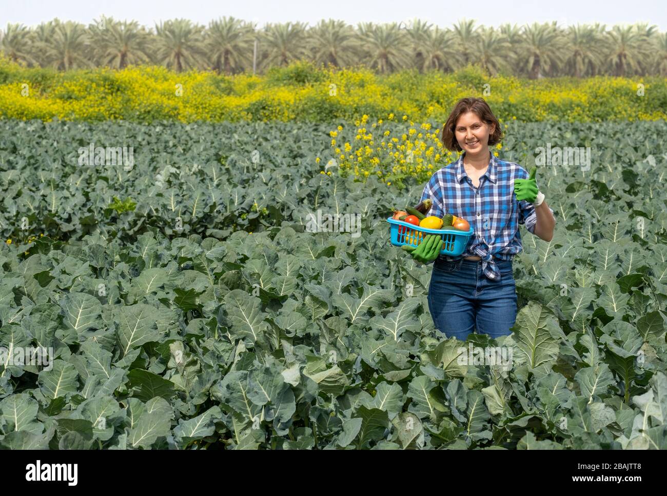 Frau, die nach der Arbeit auf dem Feld ruht und einen Korb mit geerntetem Gemüse hält. Frau, die an einem sonnigen Tag auf einem landwirtschaftlichen Feld arbeitet Stockfoto