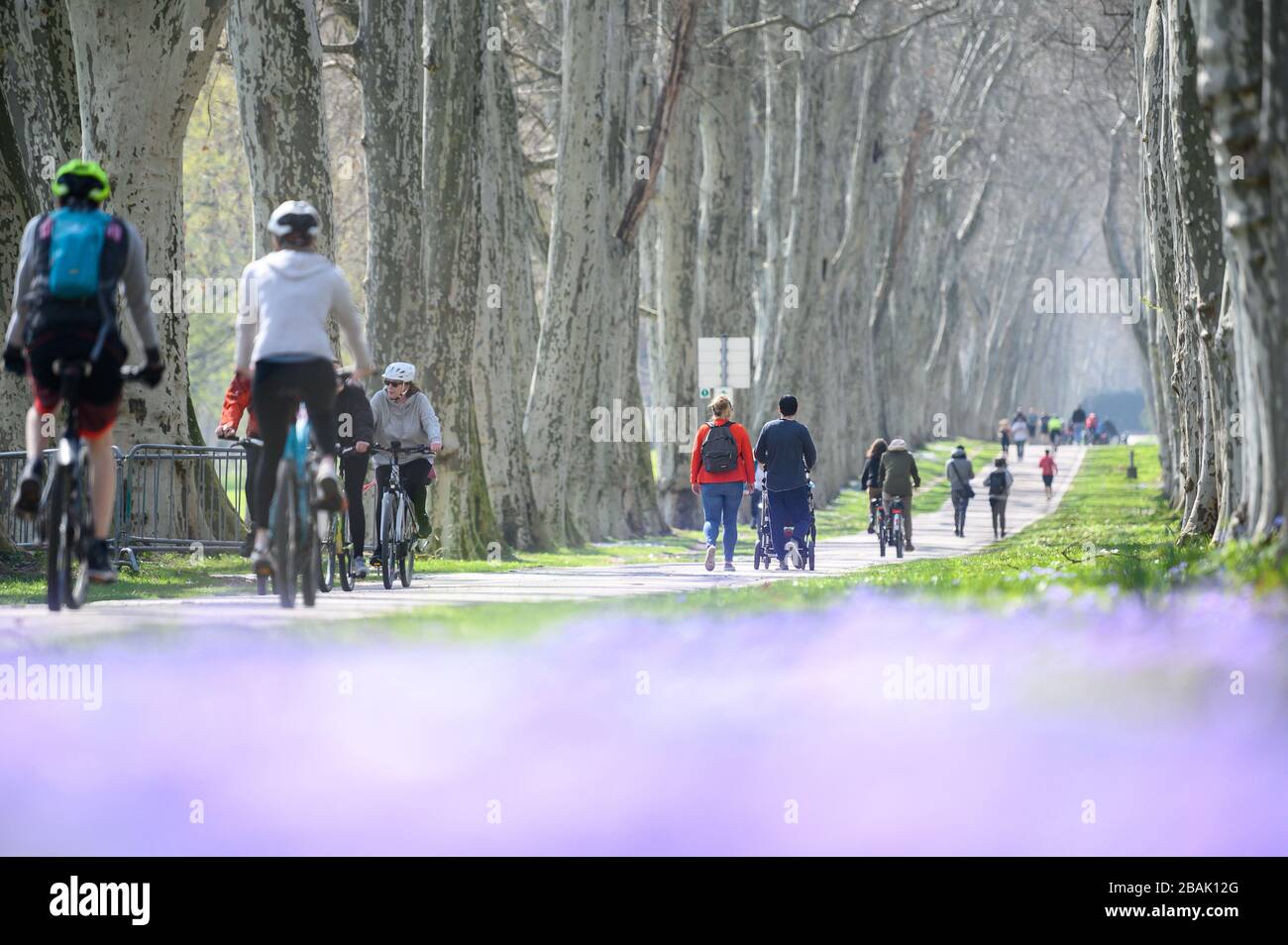 Stuttgart, Deutschland. März 2020. Die Menschen fahren und gehen durch eine Allee im Schlossgarten, der bei sonnigem Wetter meist überfüllt ist. Um die Ausbreitung des Coronavirus zu verlangsamen, sind Treffen von Gruppen von mehr als zwei Personen verboten. Ausnahmen bilden Familien und Personen, die im selben Haushalt leben. Credit: Sebastian Gollnow / dpa / Alamy Live News Credit: Dpa Picture Alliance / Alamy Live News Credit: Dpa Picture Alliance / Alamy Live News Stockfoto