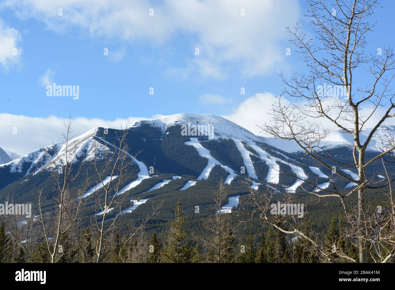 Blick auf den Ski Hill in den Rocky Mountains Stockfoto