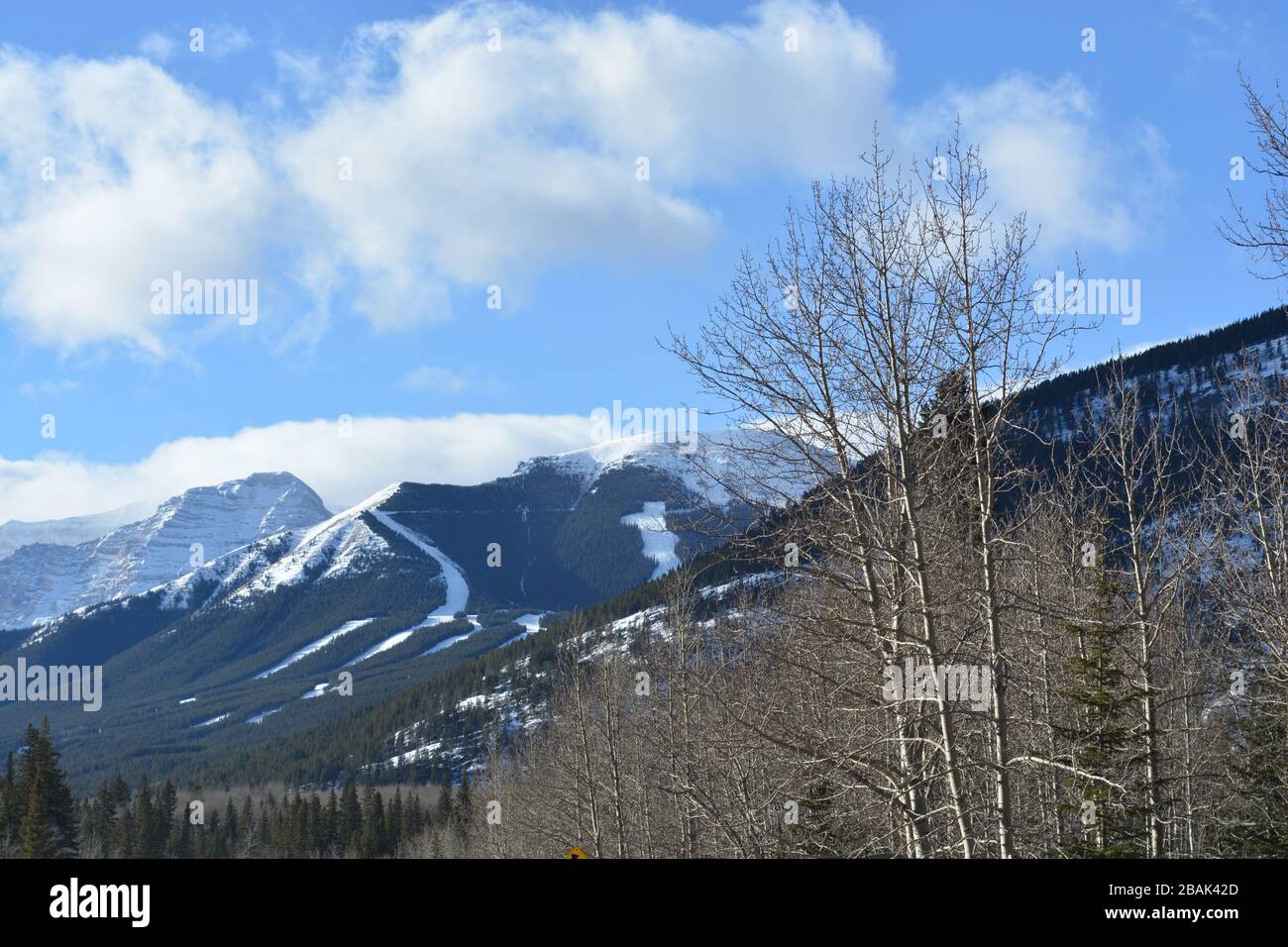 Blick auf den Ski Hill in den Rocky Mountains Stockfoto