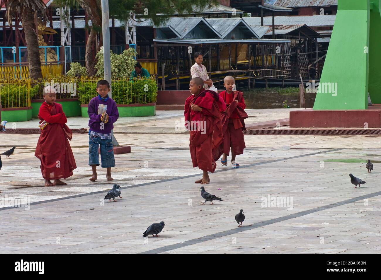 Kinder und buddhistische Kindermönche füttern Tauben in der Nähe der Phaung Daw oo Pagode, Taunggyi, Myanmar Stockfoto