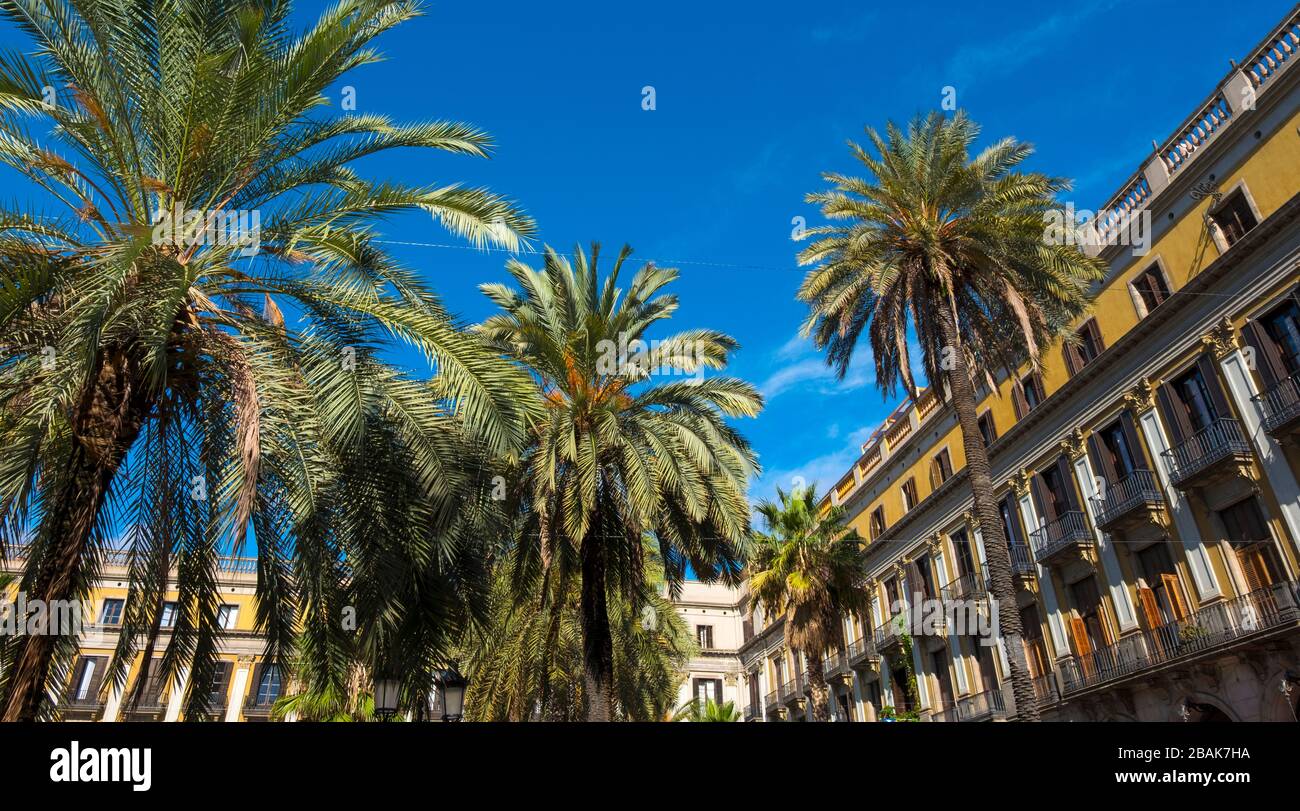 Plaça Reial in Barcelona. Stockfoto