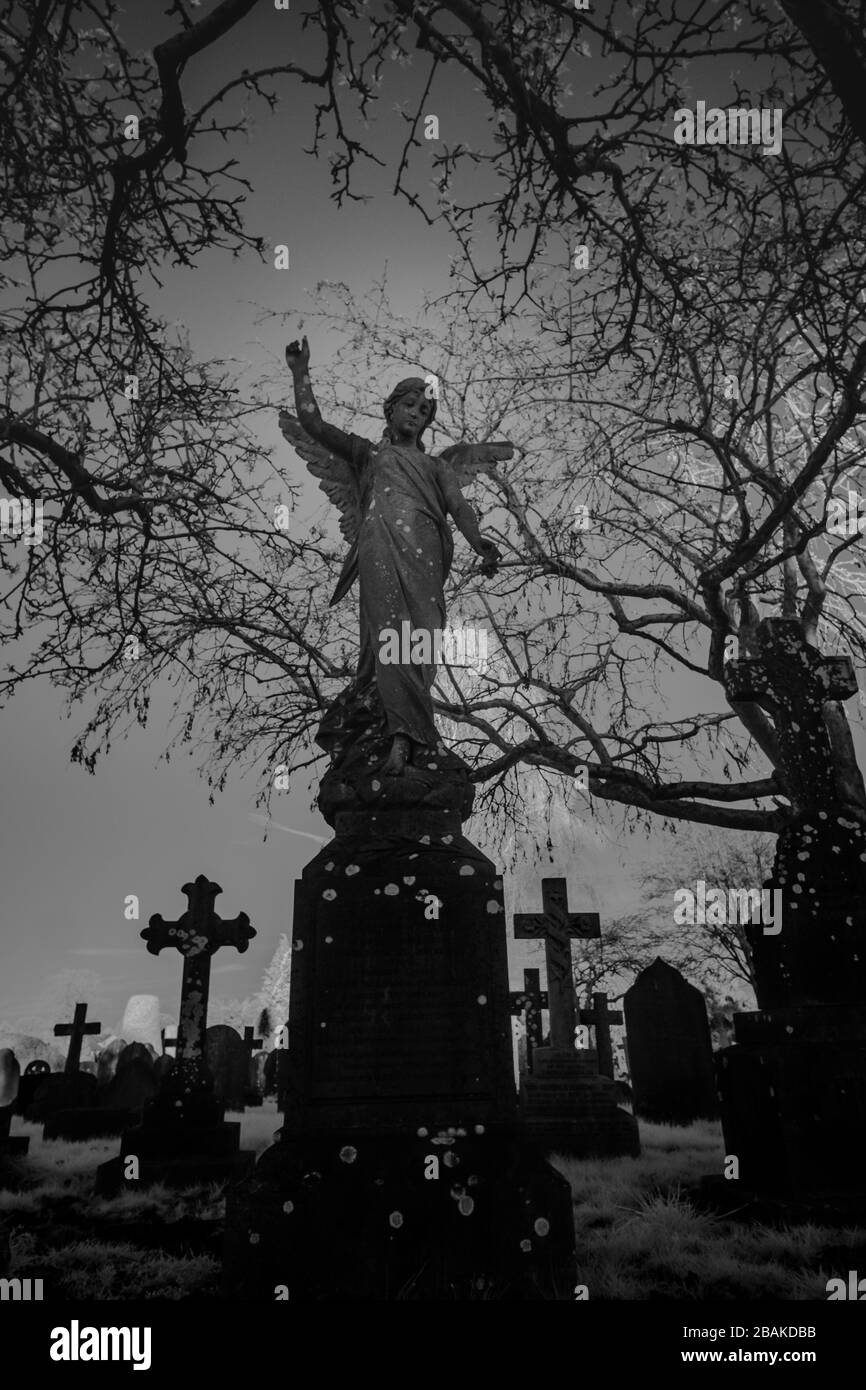 Eine Statur eines Engels auf einem Friedhof in Großbritannien. Im Nahinfrarotbereich (720 nm) aufgenommen. Stockfoto