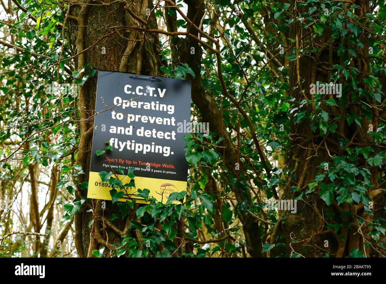 CCTV-Betrieb zur Verhinderung und Erkennung von Flytipping-Zeichen auf Baumstamm in Wald in Weald of Kent in der Nähe von Tunbridge Wells, England Stockfoto