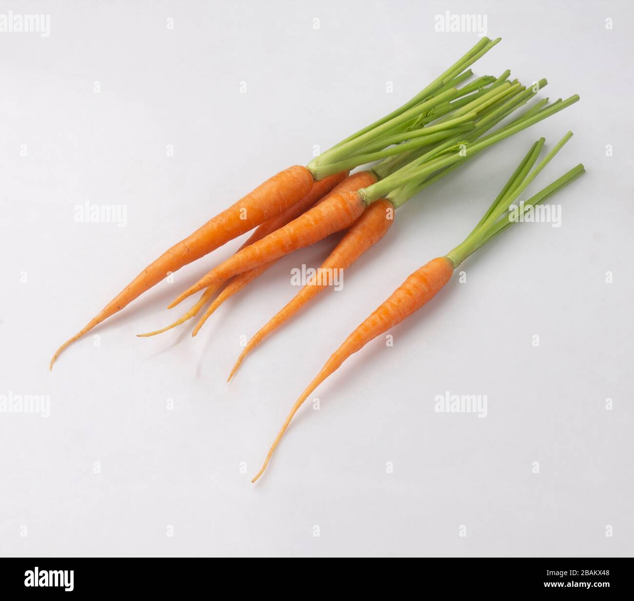Reihe von Baby-Karotten isoliert auf weißem Hintergrund Stockfoto