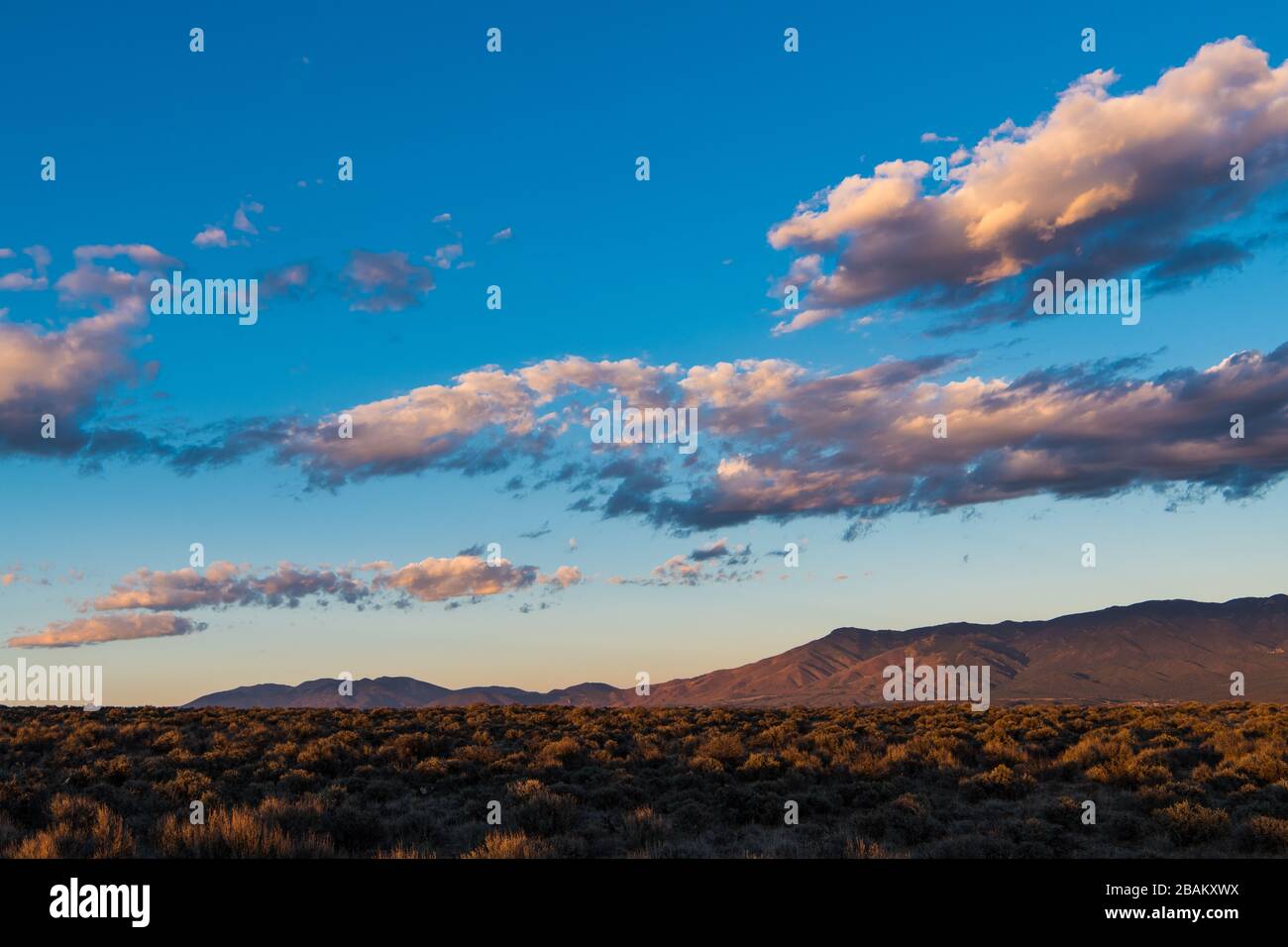 Der wunderschöne Sonnenuntergang wirft violette und gelbe Farben und Farbtöne auf Wolken und die Berge von Sangre de Cristo in der Nähe von Taos, New Mexico, USA Stockfoto