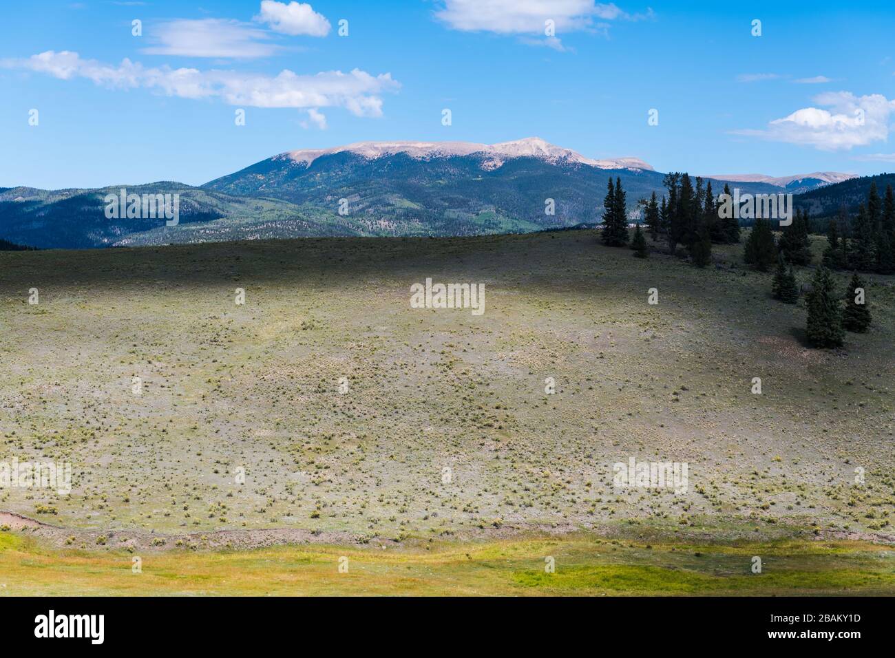 Ein Berg über einem Alpental und einer Wiese, der in dramatischem Licht und Schatten beleuchtet wurde - Valle Vidal und Big Costilla Peak im Norden von New Mexico Stockfoto