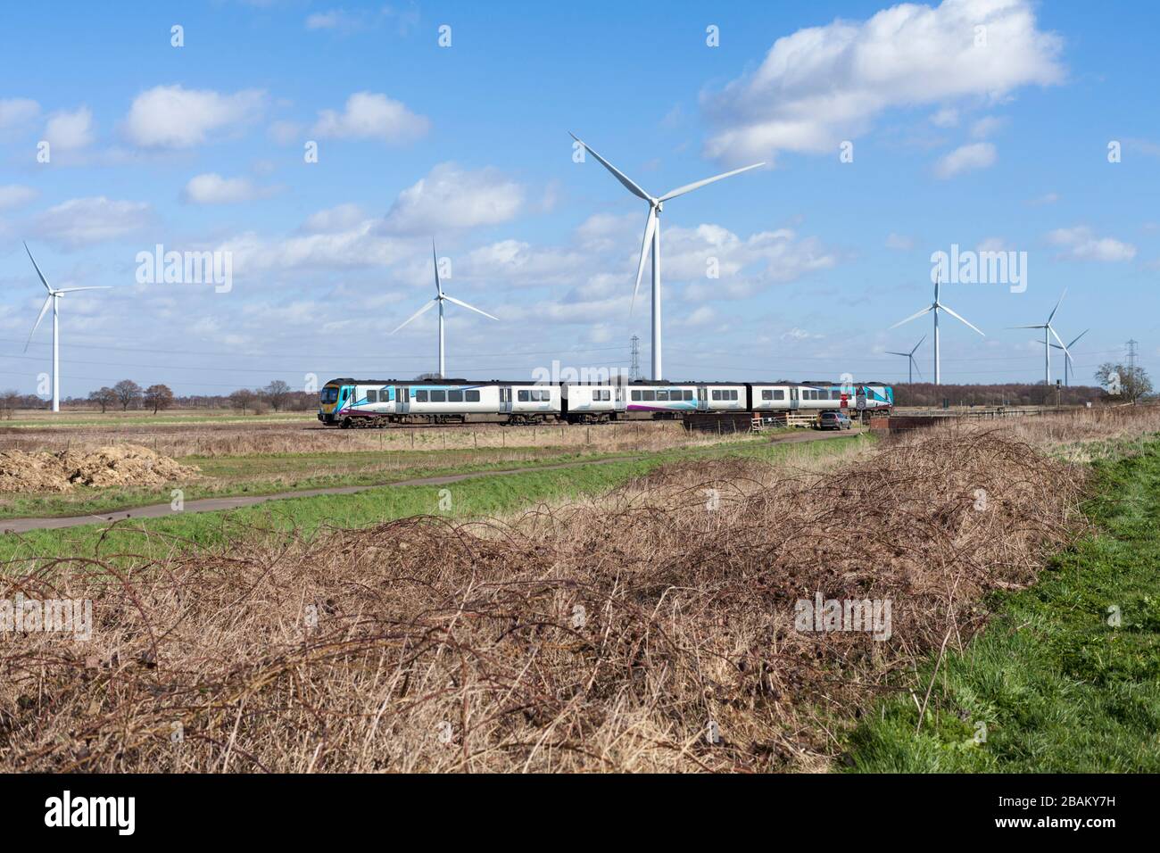 Erster Transpennine Express-Zug der Klasse 185 185143 führt an Mauds Bridge, Yorkshire vorbei mit Windenergieanlagen dahinter, nachhaltiger Transport? Stockfoto