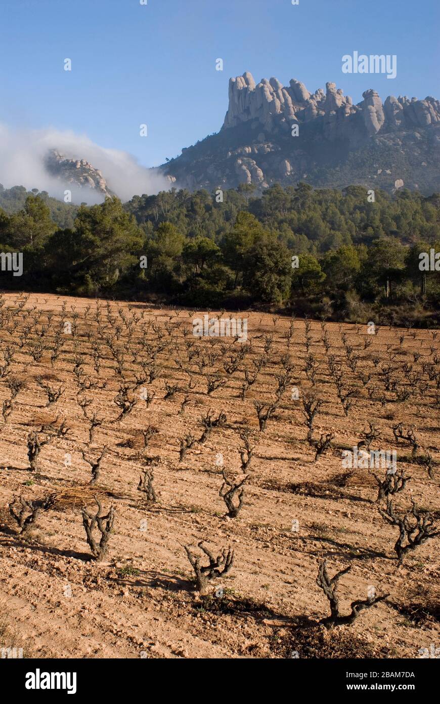 Regió d'Agulles, Montserrat-Naturpark, Montserrat, Katalonien, Europa Stockfoto