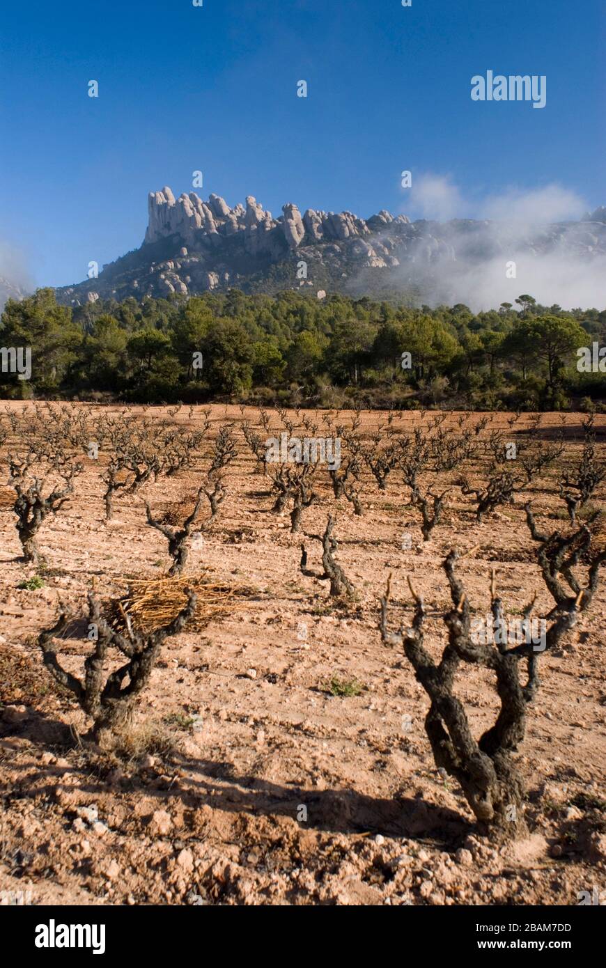 Regió d'Agulles, Montserrat-Naturpark, Montserrat, Katalonien, Europa Stockfoto